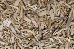 biomass boilers Iford